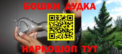 индика Нальчик