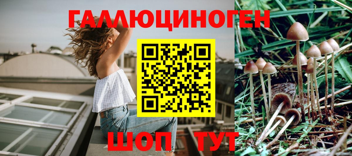 Псилоцибиновые грибы мухоморы  Вход с VPN  Галлюциногенные грибы Psilocybe  Новодвинск 