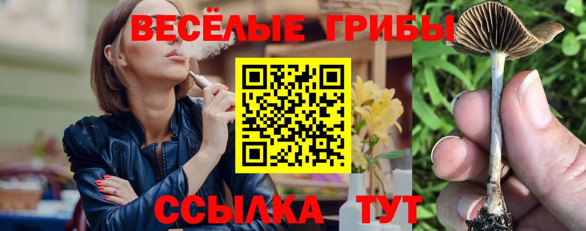 Псилоцибиновые грибы Psilocybine cubensis Новодвинск
